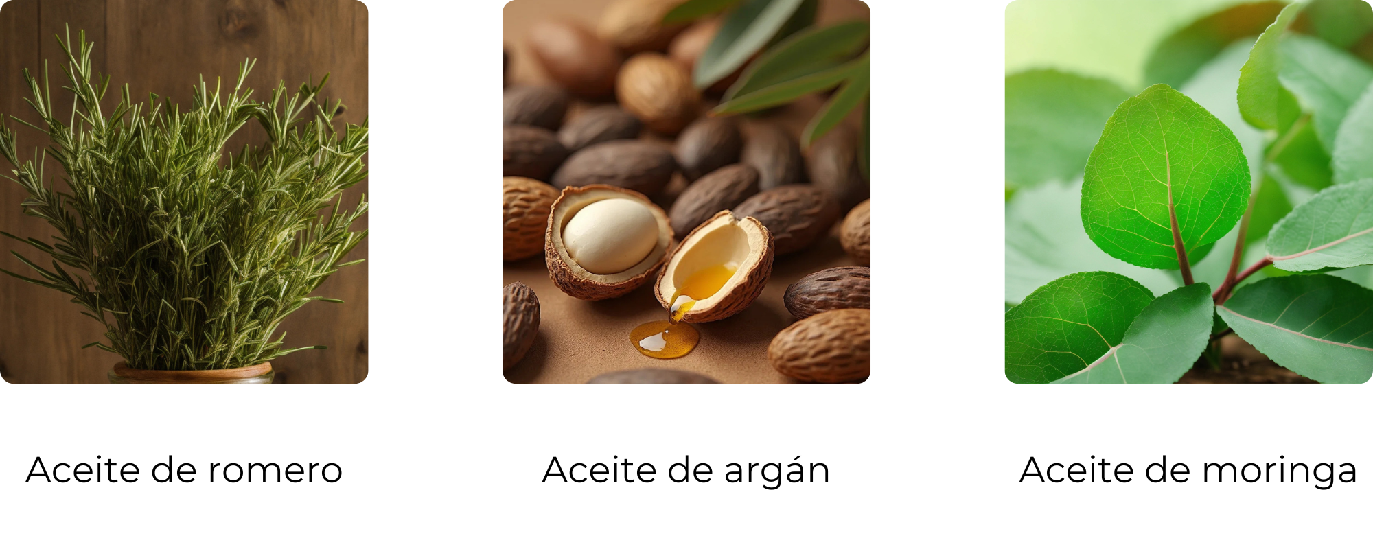 ingredientes aceites para el cabello